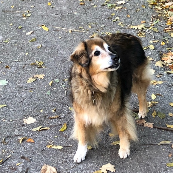 Meet your Posher, Sara - Picture 6 of 16